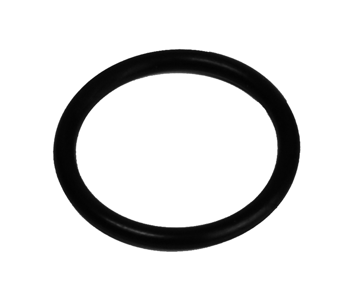 O-Ring PG21
